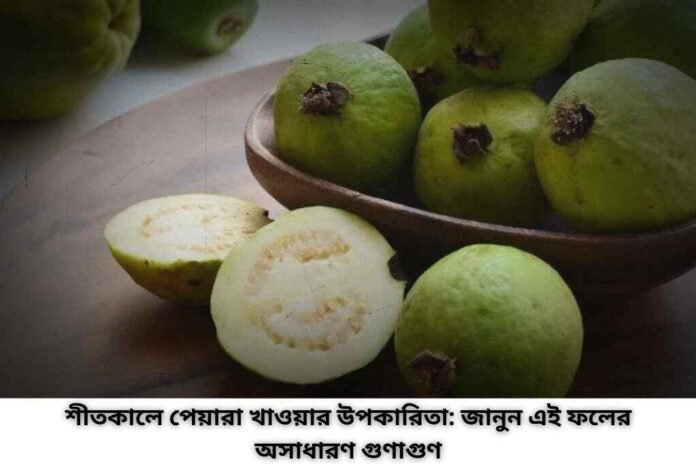 শীতকালে পেয়ারা খাওয়ার উপকারিতা