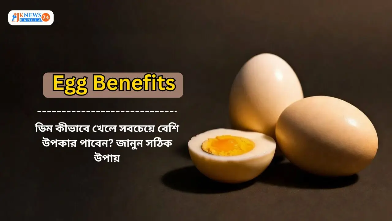 ডিম কীভাবে খেলে সবচেয়ে বেশি উপকার পাবেন?