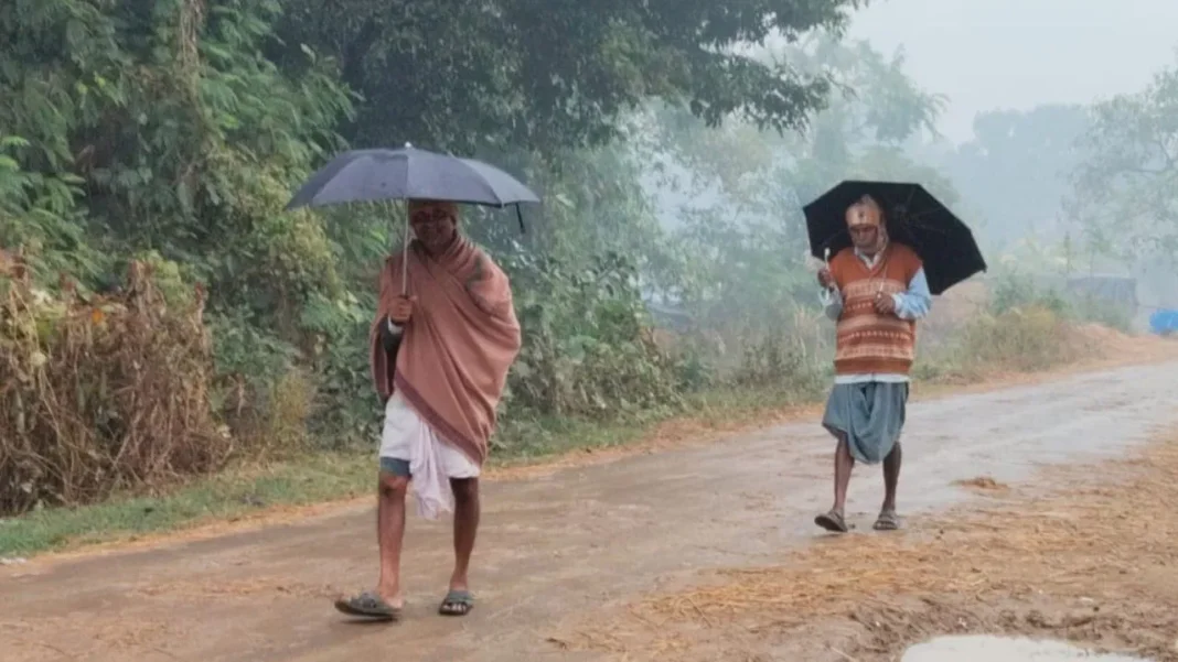 দক্ষিণবঙ্গে টানা বৃষ্টি, ভিজবে কোন কোন জেলা জানিয়ে দিল আবহাওয়া দফতর