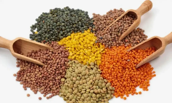 শরীর সুস্থ রাখতে কোন ডাল খাবেন?