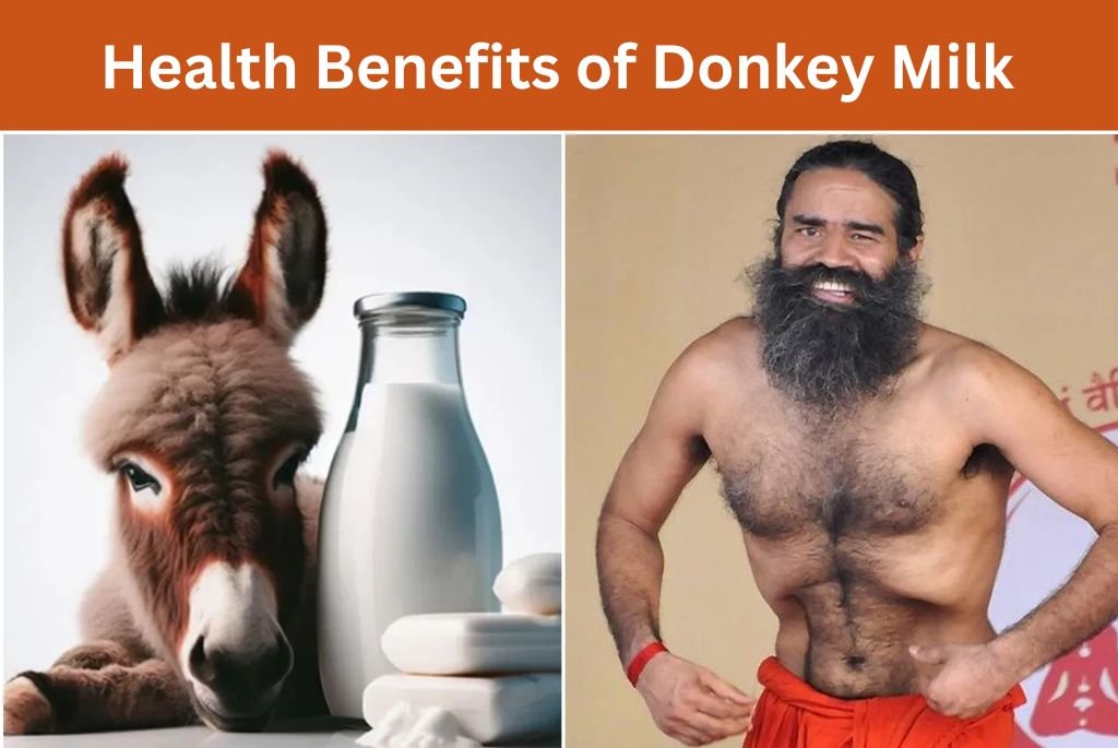Health Benefits of Donkey Milk