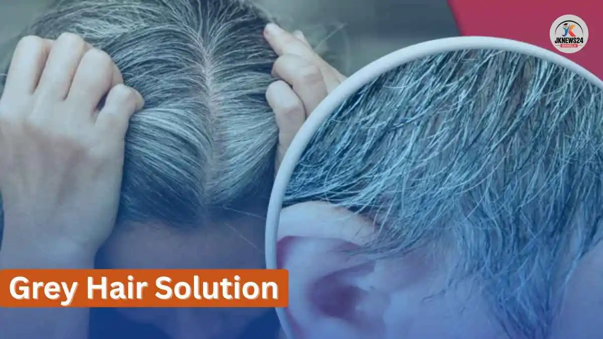 Grey Hair Solution