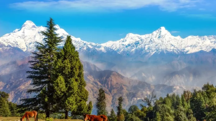 হ্যাপি ভ্যালি ট্রাভেল গাইড